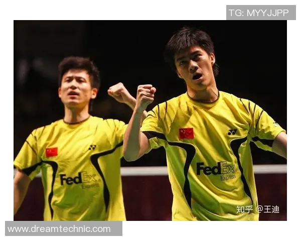 北京羽毛球队个人能力分析与发展策略探讨